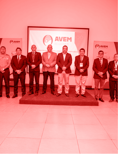 Avem regiones